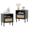 Aimara Rattan Nightstand Set of 2