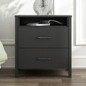 Allysyn 22.7" 2-Drawer Nightstand